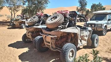 Off Road Buggy - 12856 types