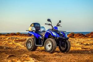 Off Road Buggy - 66280 awards