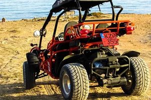 Off Road Buggy - 90079 prices