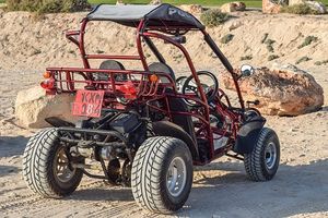 Off Road Buggy - 97677 customers