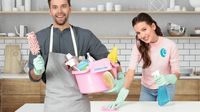 Domestic Cleaning - 9258 customers