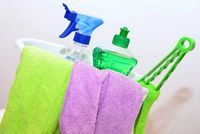 Domestic Cleaning - 65908 varieties