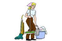 Domestic Cleaning - 92788 options