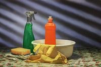 Domestic Cleaning - 83100 kinds