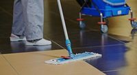 Domestic Cleaning Services - 6206 types