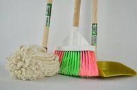 Domestic Cleaning Services - 91322 selections