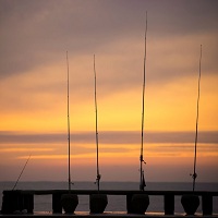 морски риболов - 67044 промоции